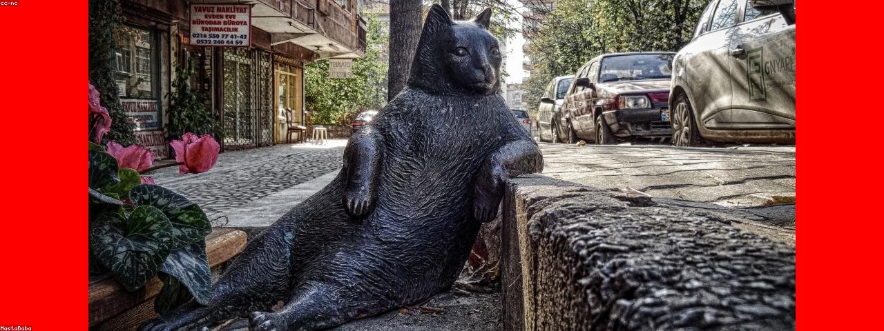 Professional Fabric and Tailoring Scissors